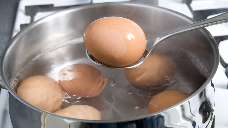 hard-boiled egg on spoon