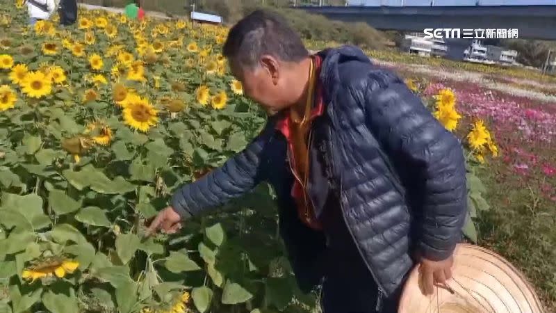 詹春旺指出遭遊客踏斷的花枝。