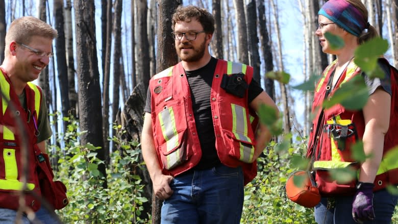 Fort McMurray forests rebounding after wildfire: study