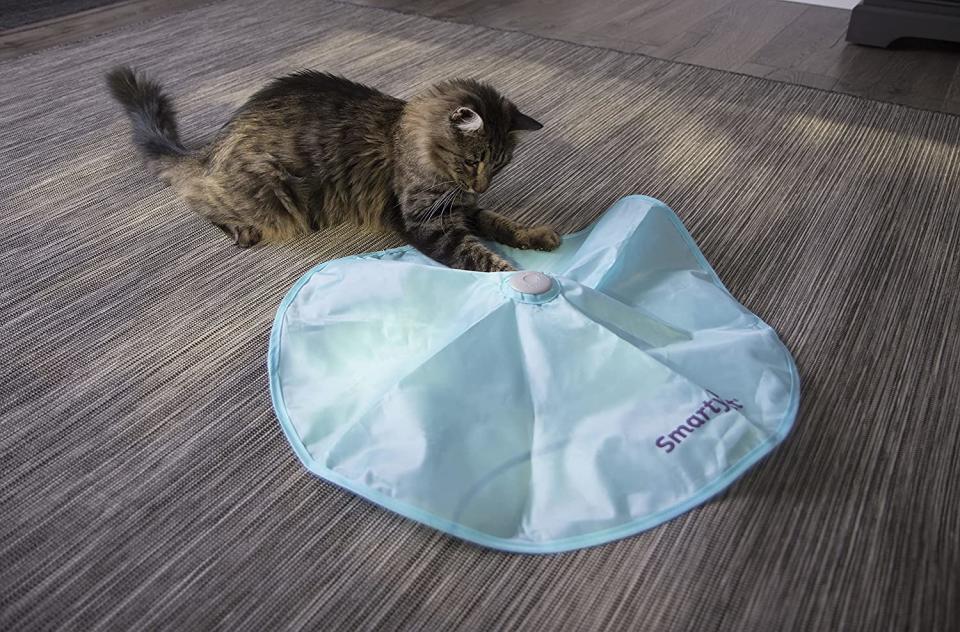 SmartyKat Hot Pursuit Cat Toy Concealed Motion Toy. (Photo: Amazon SG)