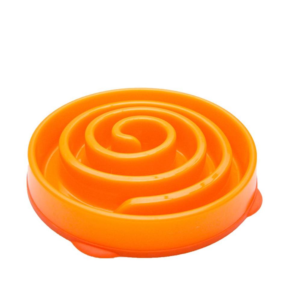 Outward Hound Fun Feeder Slo-Bowl