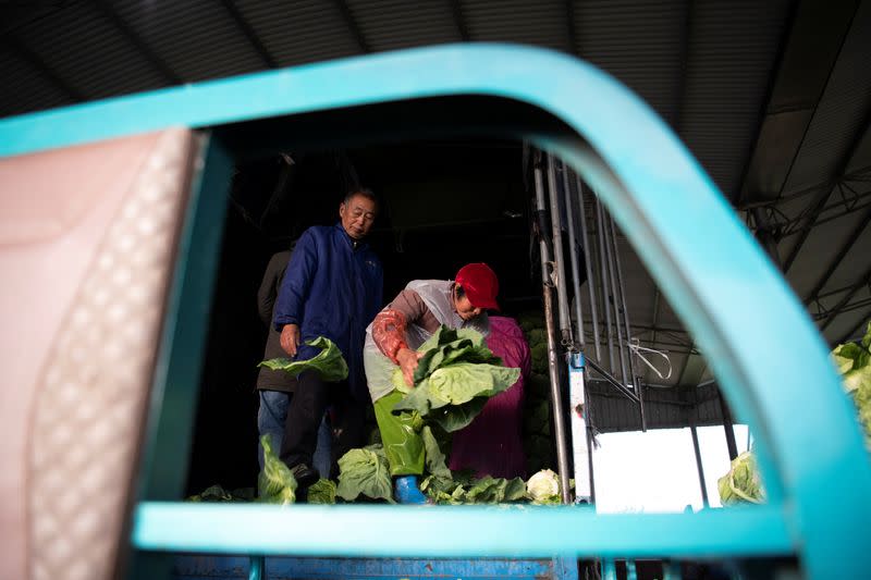 Farmers load vegetables onto a truck for delivery to Shanghai, in Haian