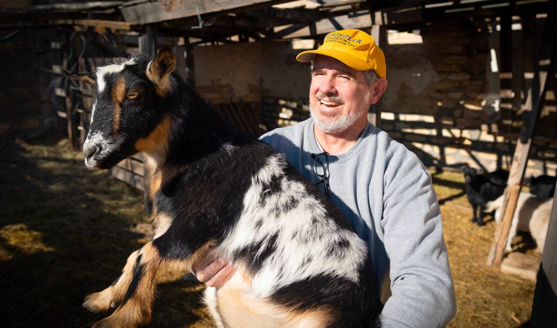 Former Wilson Mayor David Criswell holds one of his Nigerian dwarf goats on property south of Wilson. Criswell owns several Wilson properties, including the town’s old dilapidated grain elevators. He has a plan that he thinks can draw tourists: Let the goats climb all over the grain elevators and alert motorists on I-70 that they can stop and see his goats climb “the mountains of Kansas.” Current city leaders in Wilson are not on board with the idea.