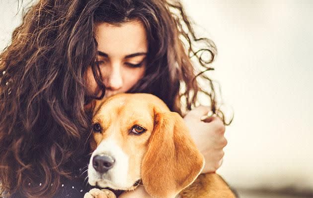 You might have the best intentions, but getting close with your dog might be making them stressed. Photo: Getty