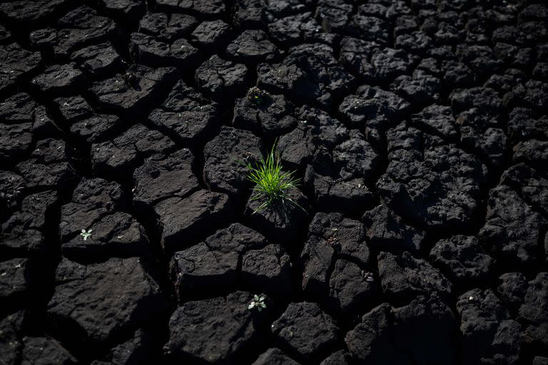 Vista de la tierra agrietada en el embalse Paso Severino en medio de una grave sequía en Florida, Uruguay, tomada el 28 de junio de 2023. 