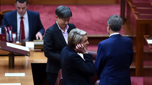 “Tanya, know your place!” colleagues yelled out after Tanya Plibersek was refused a handshake. Photo: AAP