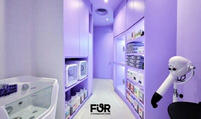 FUR: A VETERINARY PET STORE