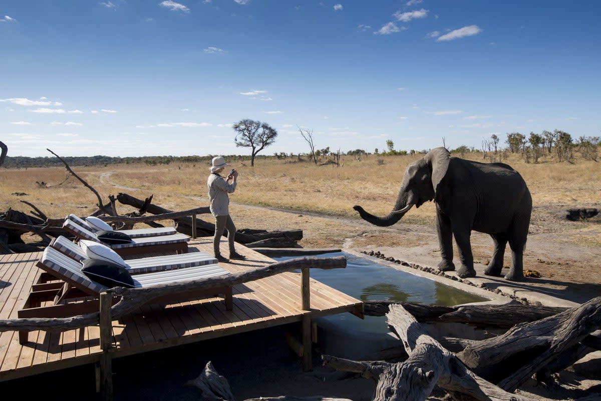 Somalisa Expeditions, Hwange National Park, Zimbabwe  (DOOK)