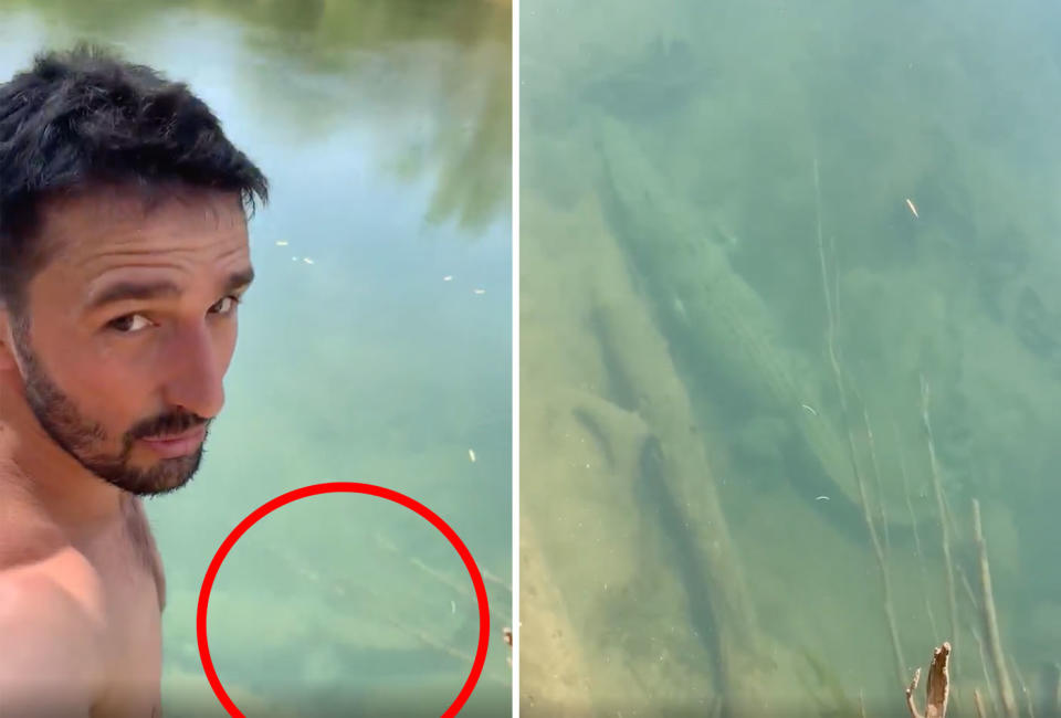 Andrew Ucles next to the saltwater croc lurking in waters below. Source: Andrew Ucles/ Facebook