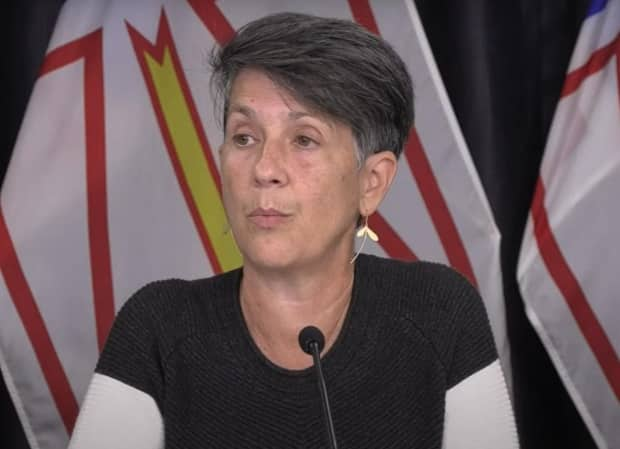 Dr. Rosann Seviour, acting chief medical officer of health, says public health officials have detected community spread in the Baie Verte area. (Government of Newfoundland and Labrador/YouTube - image credit)