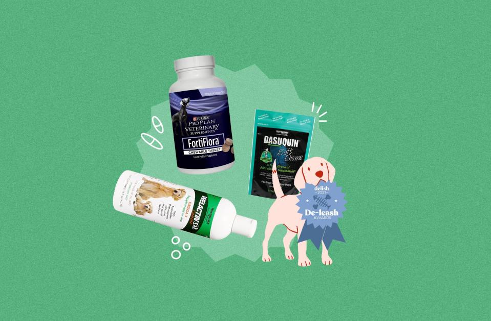 The Best Pet Supplements For Joints, Fur, Allergies, And More