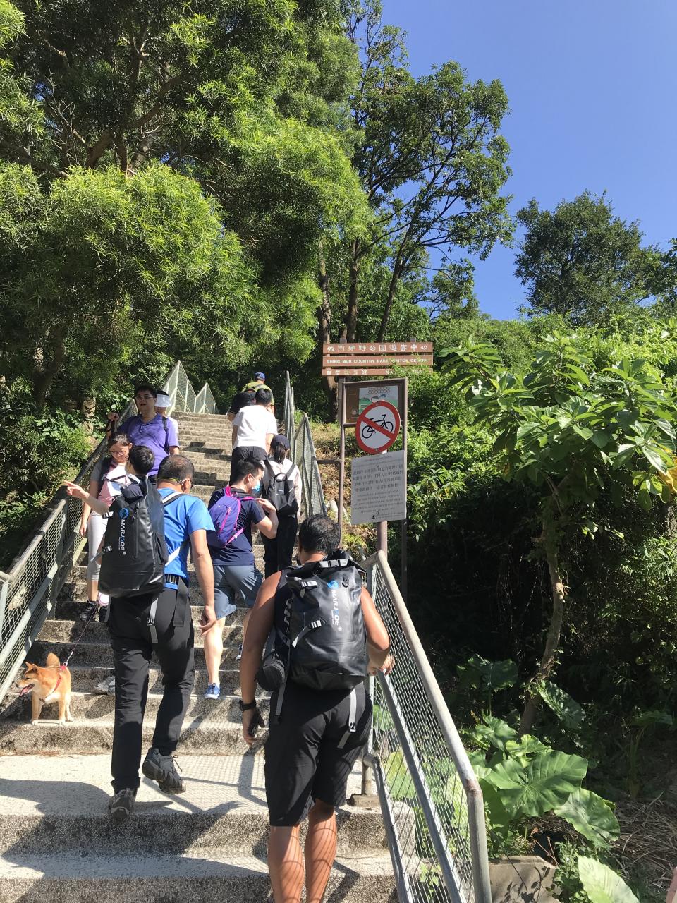 行山路線｜香港第五高山「禾秧山」！石天門靚景＋石林中觀漫山芒草