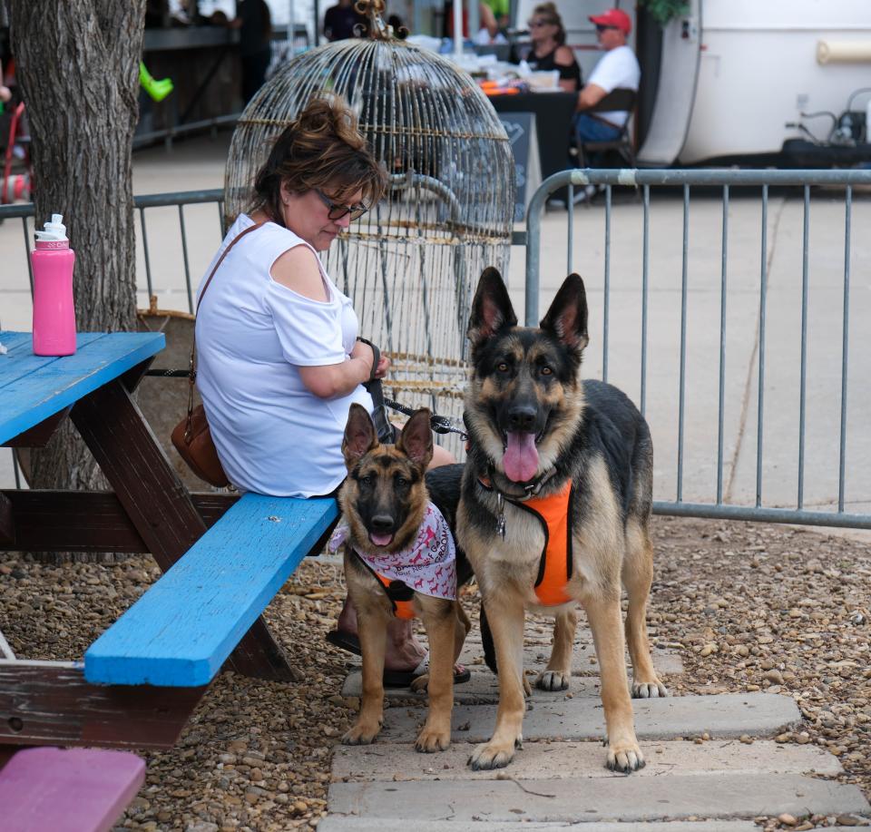 A German Shepard duo looks on at the crowd Sunday at the 30th annual Muttfest at the Starlight Ranch Event Center in Amarillo.