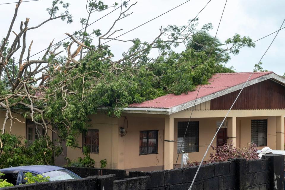 A tree lies on the roof of a house in Kingstown, St. Vincent and the Grenadines, after Hurricane Beryl on Monday (Copyright 2024 The Associated Press. All rights reserved)