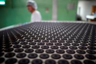 FILE PHOTO: To match story CHINA-LOCALISATION/OREOS