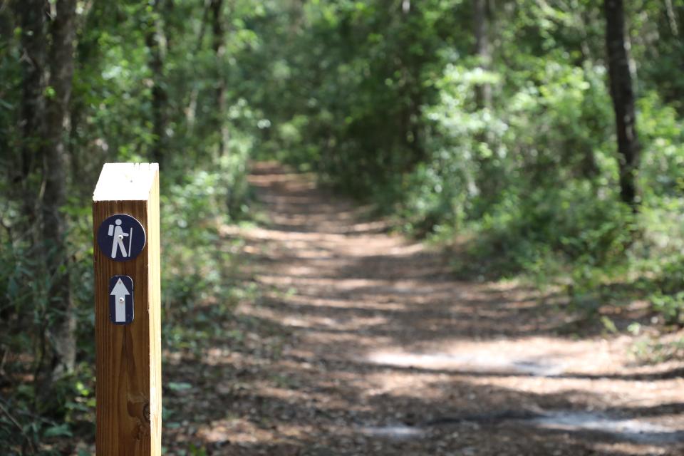 A trail marker at Springtree Park in Gainesville, Florida on June 27, 2023.