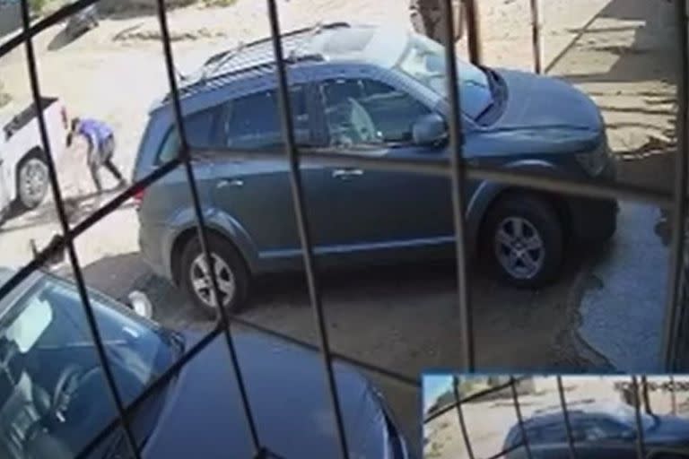 Un hombre tomó venganza de un perro pitbull y lo mató en defensa de su hijo
Foto: captura de video