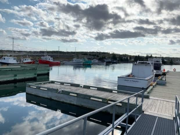 Many people on Isle Madame earn their living by fishing.  (Submitted by Brandon Boudreau - image credit)