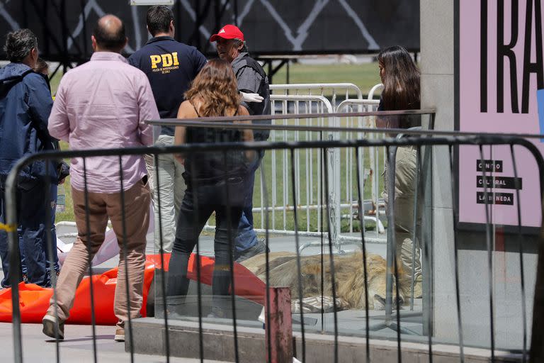 Representantes del Zoológico de Los Ángeles dejan un león muerto como protesta contra el Servicio Agrícola y Ganadero de Chile (SAG) y el gobierno frente al Palacio Presidencial La Moneda en Santiago el 20 de enero de 2023. - El cuerpo sin vida de Zeus, un Un león de 14 años fue arrojado frente al palacio presidencial chileno en el centro de Santiago como protesta luego de un procedimiento de inspección fallido