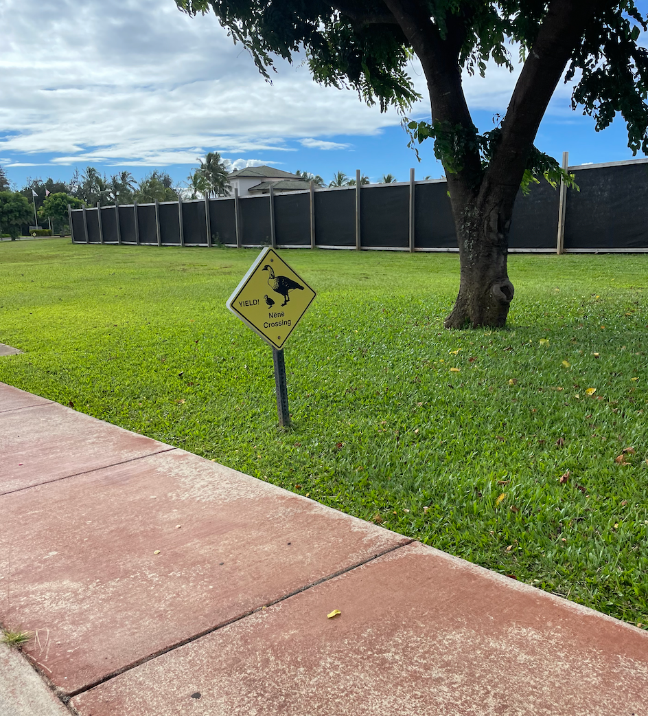 Guests are reminded of the endangered Hawaii birds everywhere on the property.