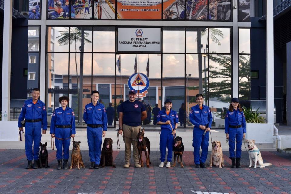 Multiple search and rescue dogs with their handlers