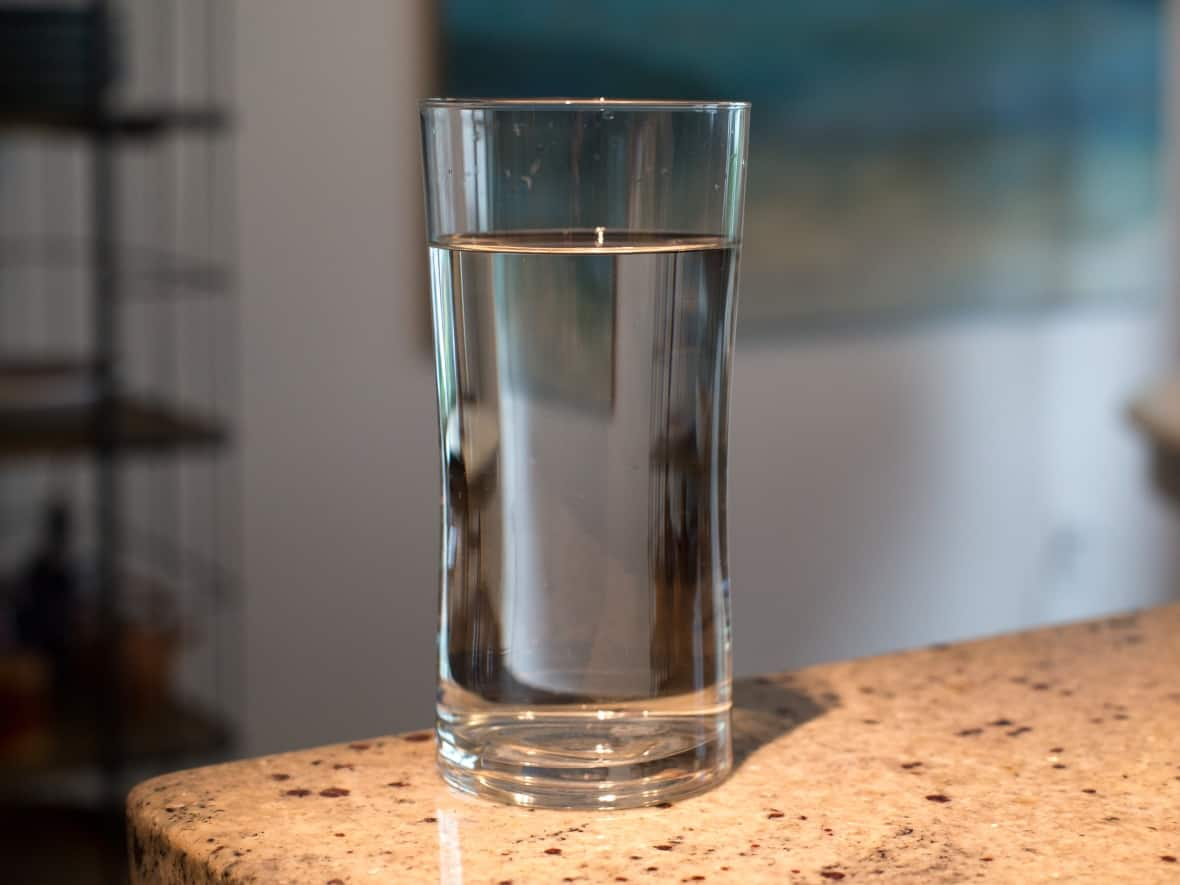 How much fluid you need in a day depends on several factors, according to the experts.  (David Donnelly/CBC - image credit)