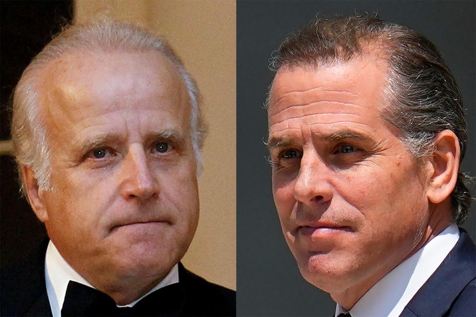 James Biden (left) and Hunter Biden (right) (AP)