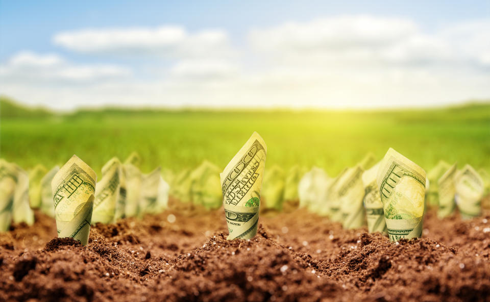 Rolled $100 notes growing out of the soil, with green grass and blue skies in the background.