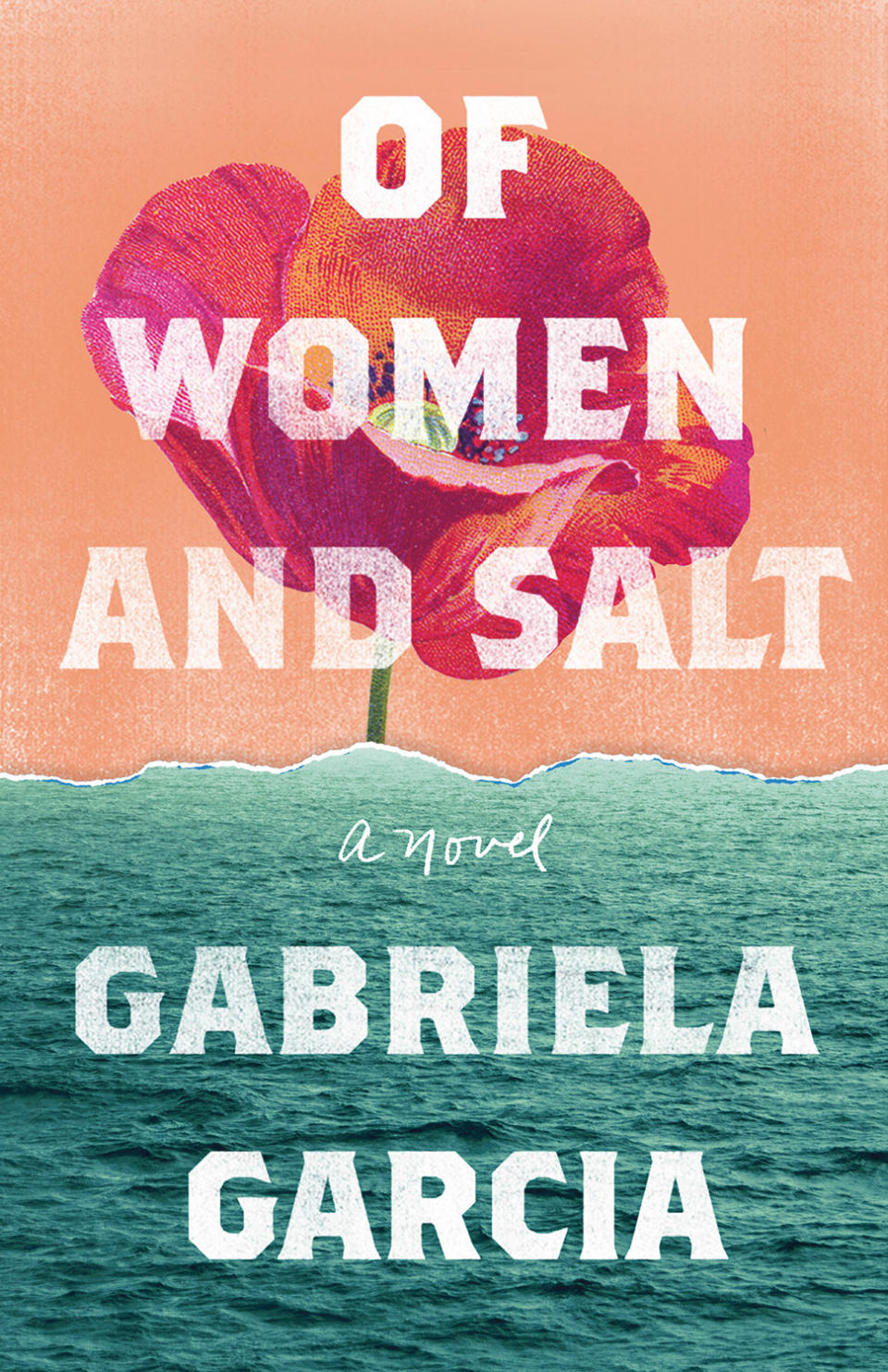 <em>Of Women and Salt</em>, by Gabriela Garcia