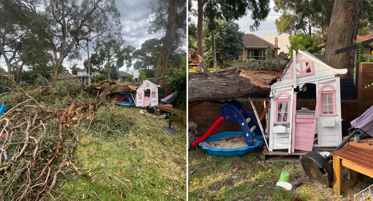 The fallen tree limb on the crushed cubby and across Bec Brewin's Melbourne yard.