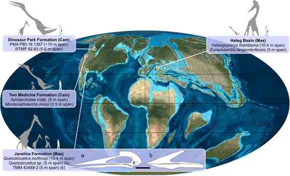 Map to show the global distribution of faunas containing small-medium and giant-sized azhdarchids