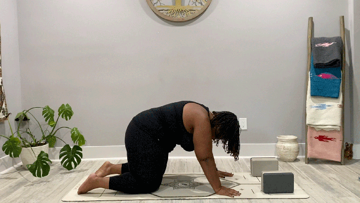 Woman practicing a slow flow yoga mat on her hands and knees in Cat Pose
