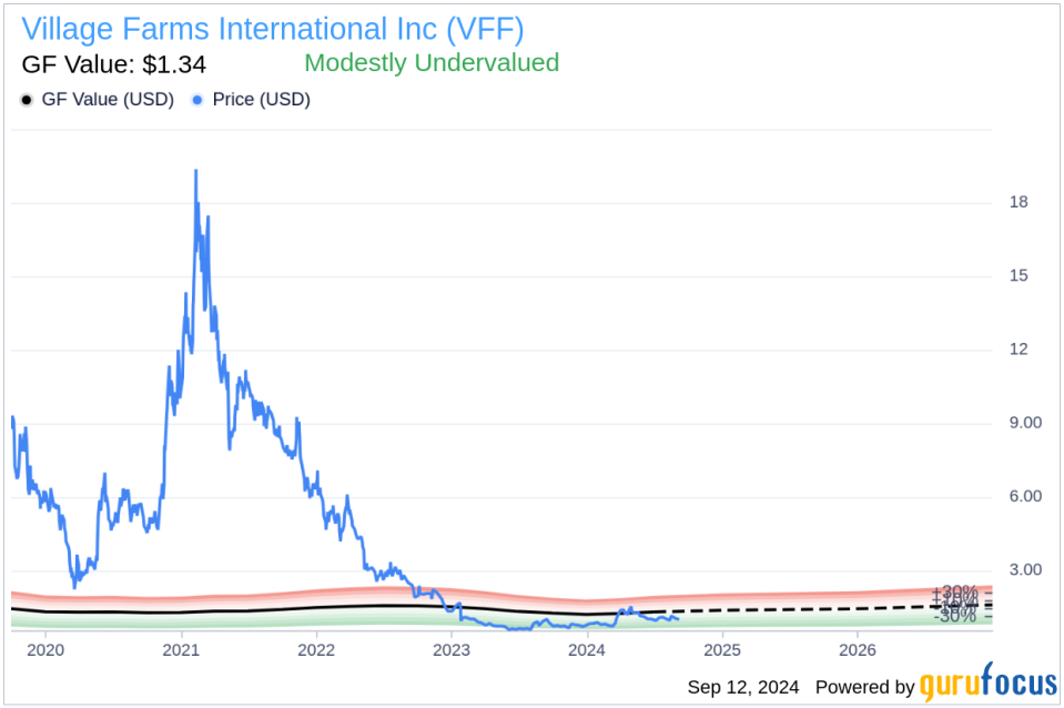 Insider Sale: CEO Michael Degiglio Sells Shares of Village Farms International Inc (VFF)