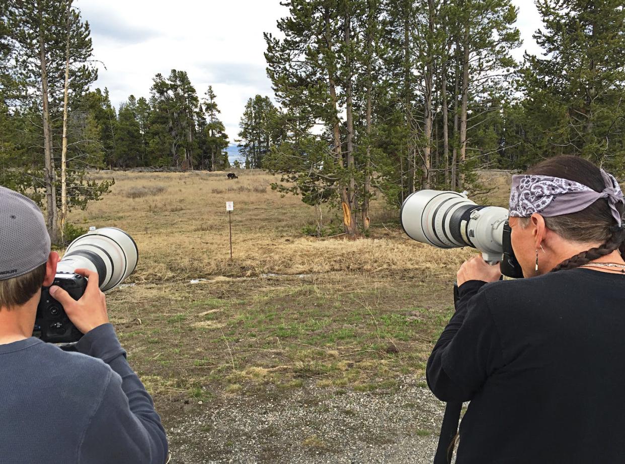 The right way to photograph wildlife: from a distance, in the animal's natural habitat. <a href="https://flic.kr/p/D9s93c" rel="nofollow noopener" target="_blank" data-ylk="slk:Jim Peaco, Yellowstone National Park/Flickr;elm:context_link;itc:0;sec:content-canvas" class="link ">Jim Peaco, Yellowstone National Park/Flickr</a>