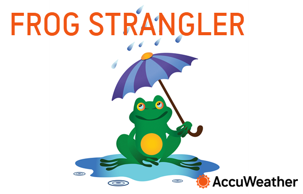 Wacky Weather Words: Frog Strangler