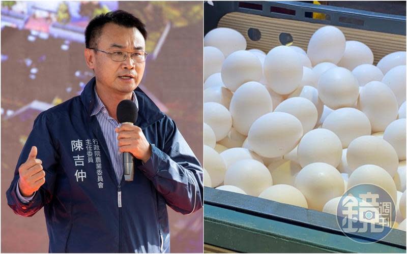農委會主委陳吉仲透露只進口澳洲雞蛋的原因，主要在於國內檢疫規範的考量。（本刊資料照）