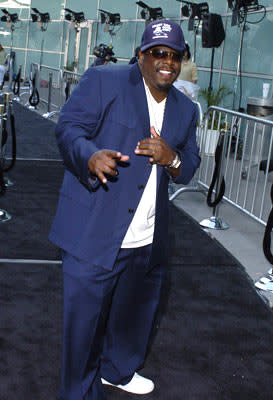 Cedric the Entertainer at the Hollywood premiere of Paramount Pictures' Lemony Snicket's A Series of Unfortunate Events