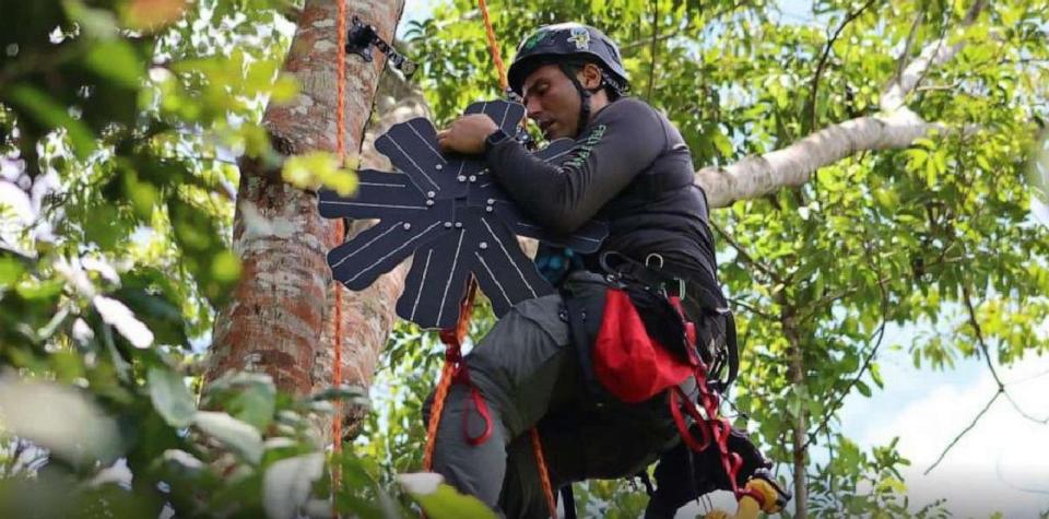 PHOTO: Recorders called 'guardians' are equipped with long-range capture technology and placed at the tops of tree canopies to record sounds for bioacoustics research. (Rainforest Connection)