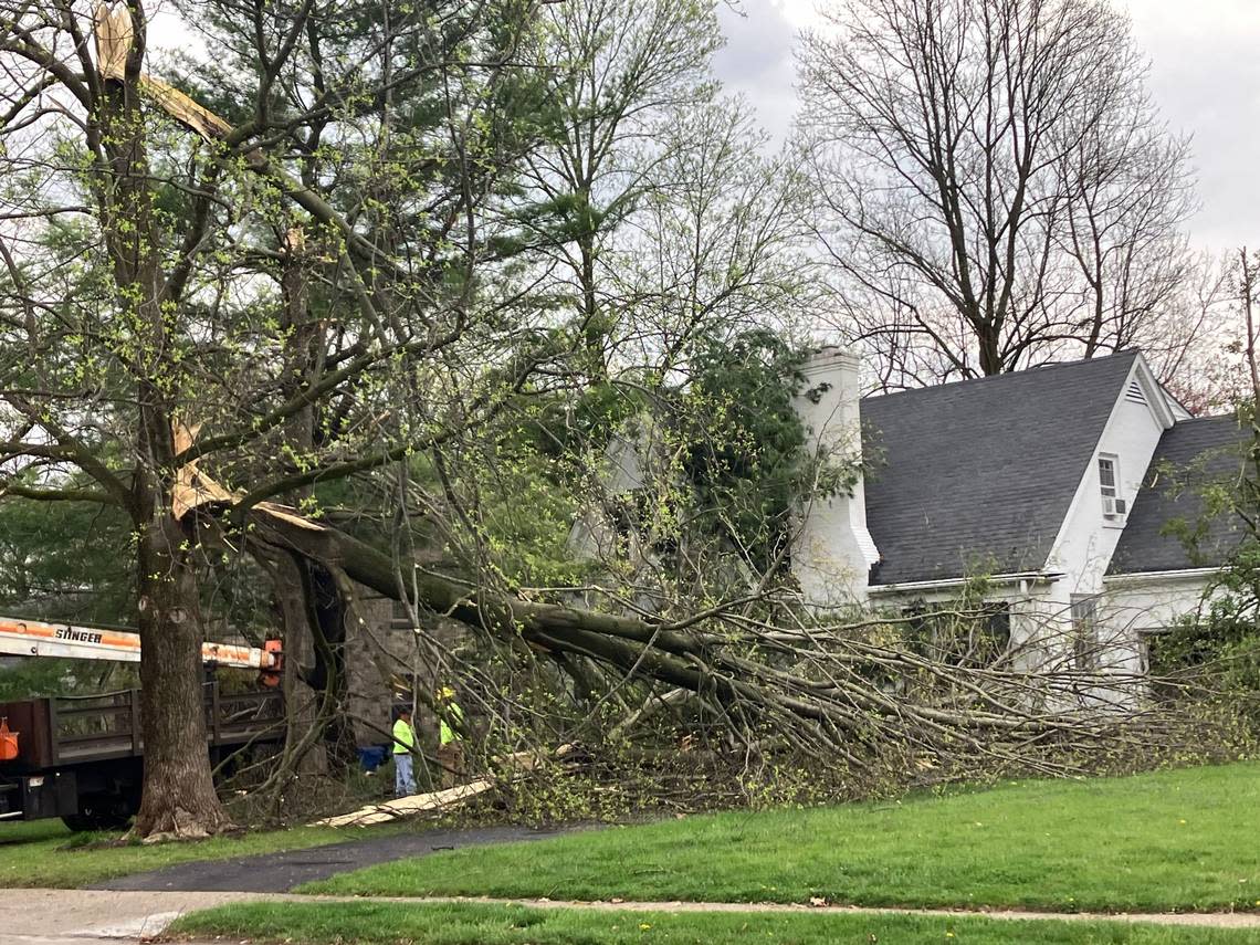 A tree is down on Tates Creek Road, near Cassidy Avenue, after thunderstorms swept through Central Kentucky on April 2, 2024. Thousands were without power in Lexington, as another wave of severe weather was expected to impact the area on Tuesday afternoon and evening.