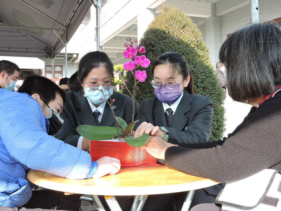 學生協助將蘭花套上過年喜慶的紅色包裝。