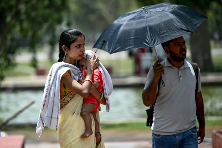 Die indische Hauptstadt Neu Delhi ächzt unter einer Hitzewelle - ein am Mittwoch gemeldeter Temperaturrekord von über 52 Grad Celsius beruht aber womöglich auf einem Messefehler. (Money SHARMA)