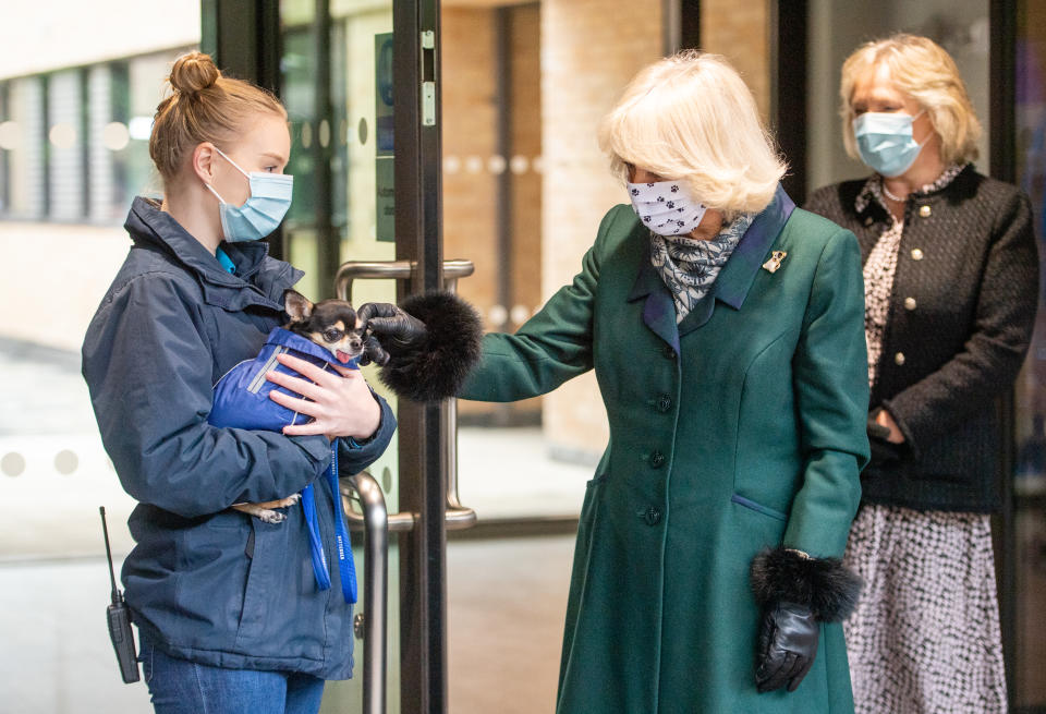 WINDSOR, ENGLAND - DECEMBER 09: Camilla, Duchess of Cornwall visits Battersea Dogs Home in Windsor on December 09, 2020 in Windsor, United Kingdom. (Photo by Samir Hussein/WireImage)