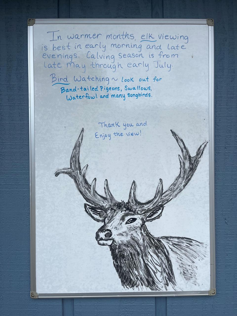 A whiteboard displayed at Jewell Meadows Wildlife Area informs visitors about the best times to view elk.