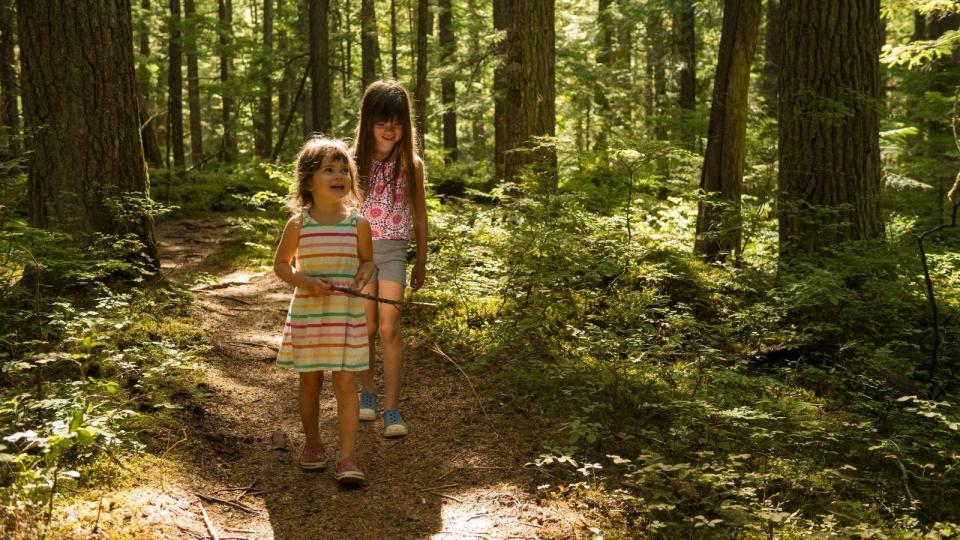 Summer hiking in Whistler, British Columbia