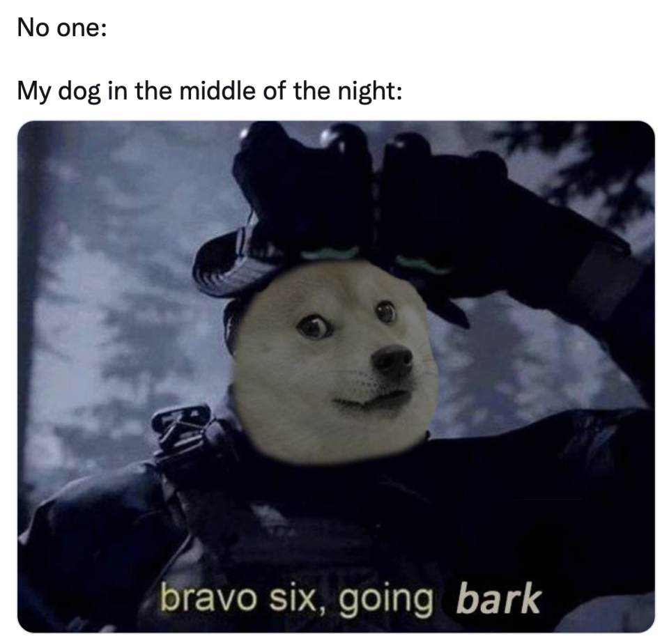 "bravo six, going bark"