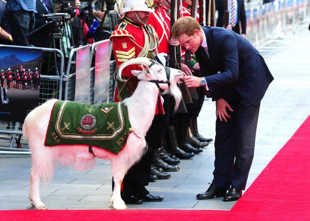 Prince Harry and the goat