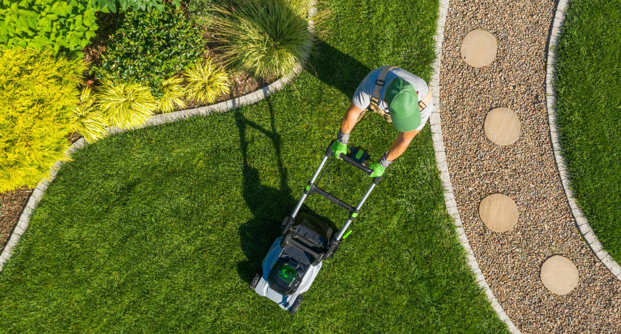 bird's eye view of man cutting grass with lawn mower, Greenworks 21-Inch 13 Amp Corded Lawn Mower MO13B00 sale amazon canada