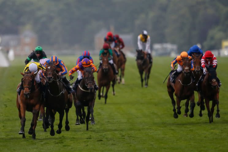 ASCOT, ENGLAND – JUNE 22: James Doyle riding Big Orange (L, yellow) lead all the way to win The Gold Cup from Order Of St George and Ryan Moore (3L, orange/blue) on day 3 ‘Ladies Day’ of Royal Ascot at Ascot Racecourse on June 22, 2017 in Ascot, England. (Photo by Alan Crowhurst/Getty Images for Ascot Racecourse)