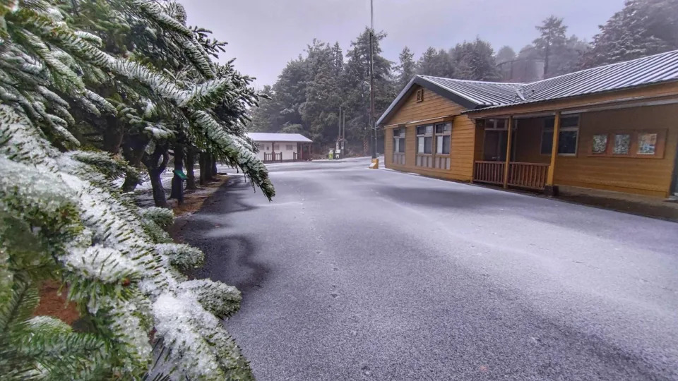 入冬寒流來襲，大雪山森林遊樂區49公里的小雪山旅遊資訊站23日清晨降雪，屋頂、樹梢、路面覆上一層白雪，如撒上糖霜，銀白世界相當美麗。（圖／林業及自然保育署台中分署提供）