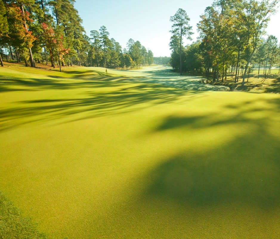 <p>Any course architect who starts and finishes players on par-5s is immediately added to the Christmas card list. In tiny El Dorado, AR, not far from the Louisiana state line, Mystic Creek Golf Club shines, one through eighteen, across a vast swath of cathedral pines reminiscent of a certain course in Georgia that awards green jackets (even the clubs’ logos are similar). Like Augusta, Mystic Creek’s pure Bermuda grass greens feature lots of slopes, so make sure to warm up on the practice green before your round here.</p>